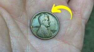 Could Your Pocket Change Hold a $170 Million Lincoln Wheat Penny
